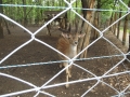 DSCF0052