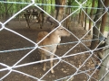 DSCF0053