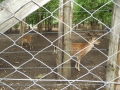 DSCF0063