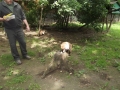 DSCF0071