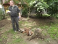 DSCF0074