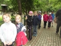 DSCF0079