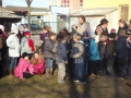 DSCF0235