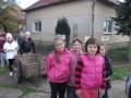 DSCF7931