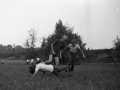 1982_BotkaD603