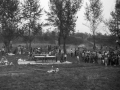 1982_BotkaD604