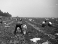 1982_BotkaD605