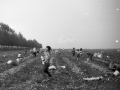 1982_BotkaD611
