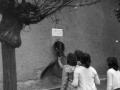 1982_BotkaD614