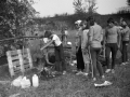1982_BotkaD617