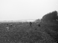 1982_BotkaD623