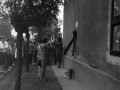 1982_BotkaD624