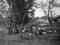 1982_BotkaD628
