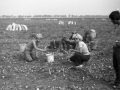 1982_BotkaD629