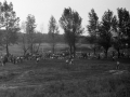 1982_BotkaD630