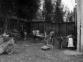 1982_BotkaD631