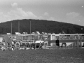 1982_Losonc547