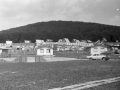 1982_Losonc551