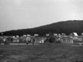 1982_Losonc554