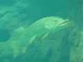 P1090839
