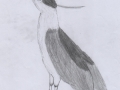 Rajzok_7-8_99