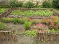 IMG_20230608_112004