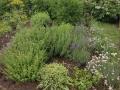 IMG_20230608_114102