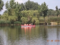 DSC06836