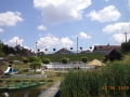 DSC06875