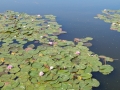 DSCN2141