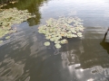 DSCN2173