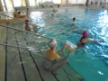 DSC00780
