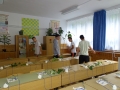 DSC02429