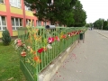 DSC02445