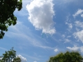 DSC02723