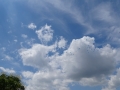 DSC02728