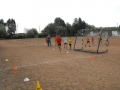 DSCF8146