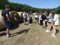 batch_DSC09251