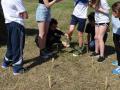 batch_DSC09252