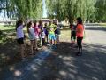 batch_DSC09258