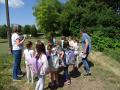 batch_DSC09269