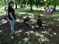 batch_DSC09279
