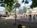 batch_DSC09454