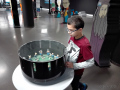 IMG_20191121_110856