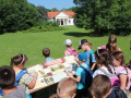 Kozlekedes-Kresz-Sport-egeszreneveles-2.-3