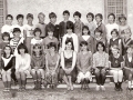 1986-5c-DrSzolga-Ferencne