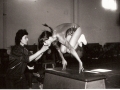 Fehervarine-Judit-Tornaversenyen