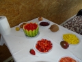DSC01604.JPG