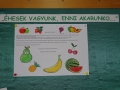 DSC01619.JPG