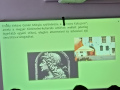 HatEloKeszito_18